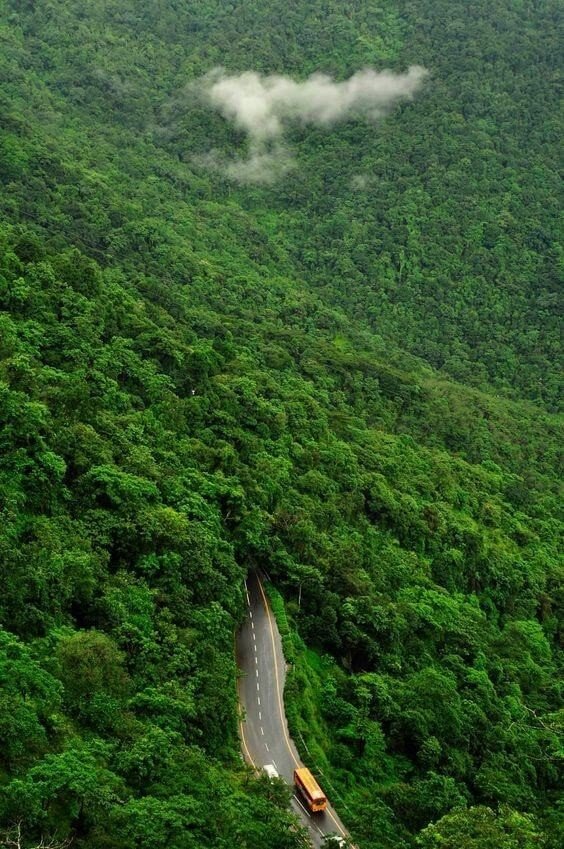 Hill Stations Near Coimbatore_10