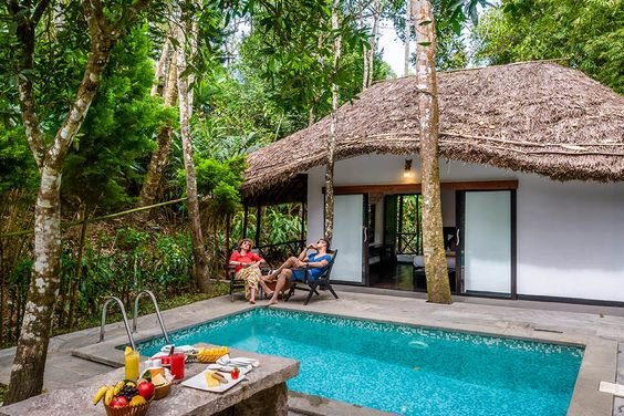 Best Resorts In Munnar For Couples and Family_5