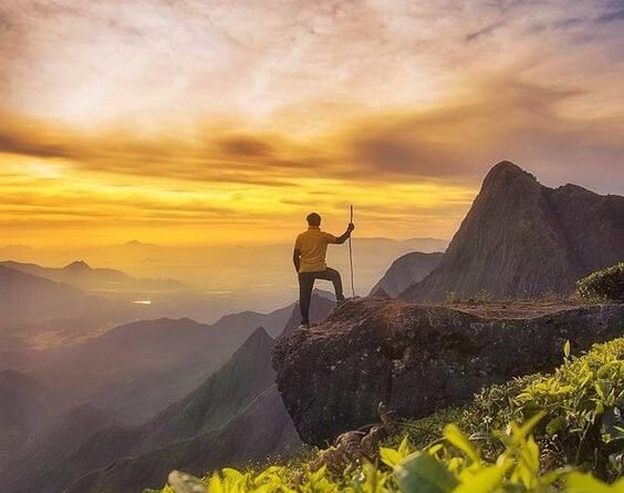 Best Resorts In Munnar For Couples and Family_0