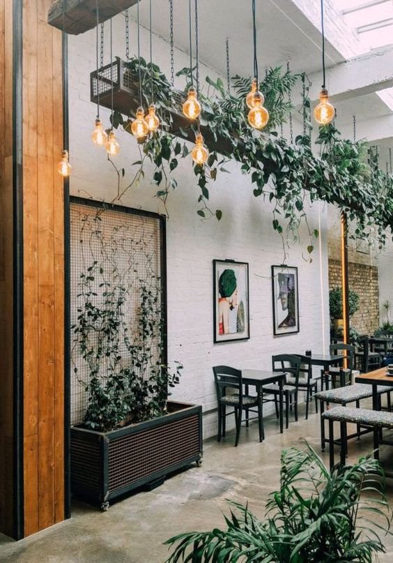 Low Budget Restaurant Interior Design - Decorate With The Greeneries