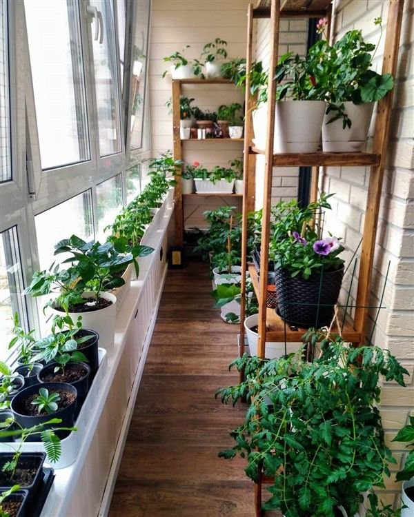 Small Balcony Garden Ideas India