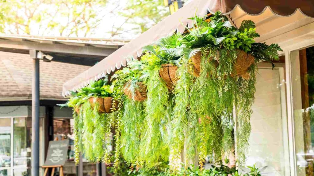 9 Balcony Garden Ideas