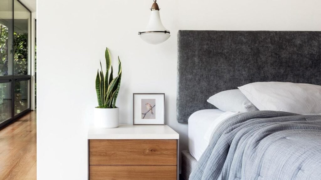 Bedroom Oxygen Plants